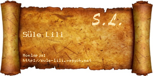 Süle Lili névjegykártya